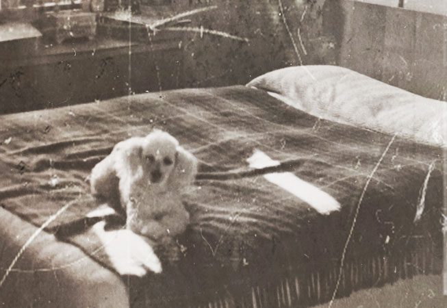 trastornos del sueño psicología